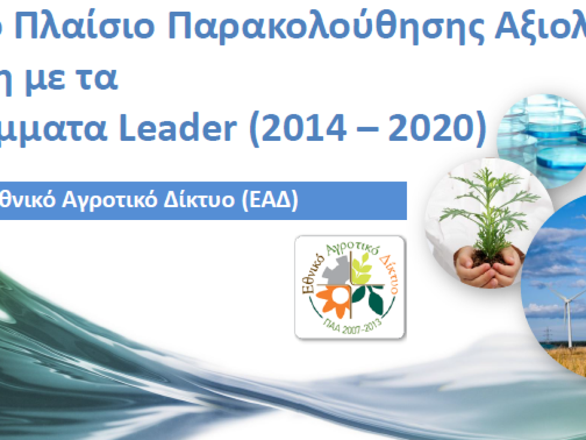 local development clld leader