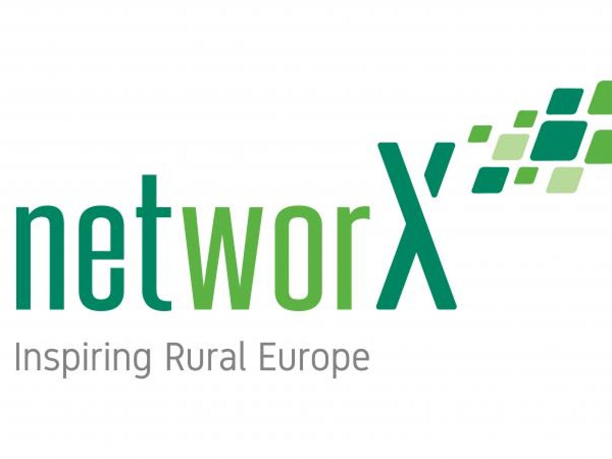 networX full visual