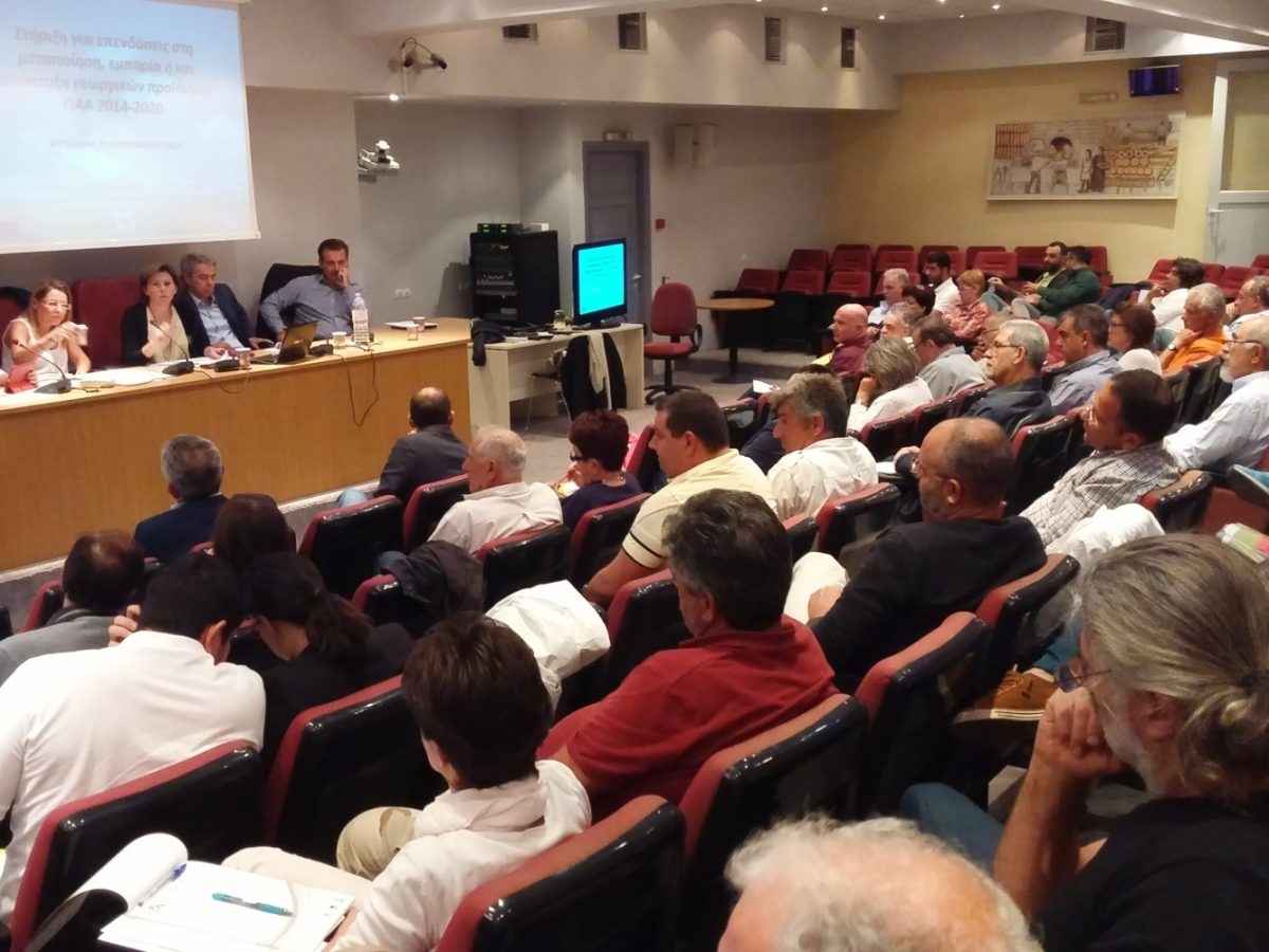 opportunities nothern aegean