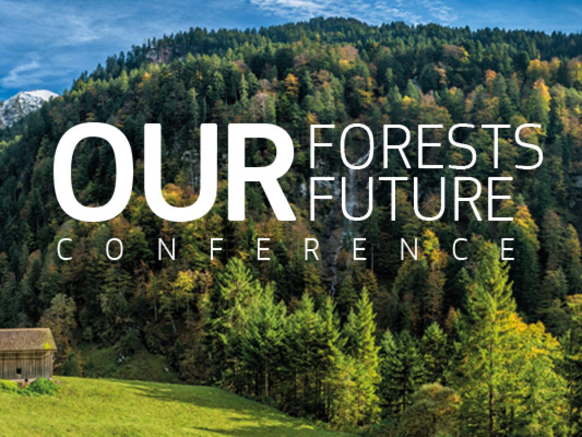 our forests our future