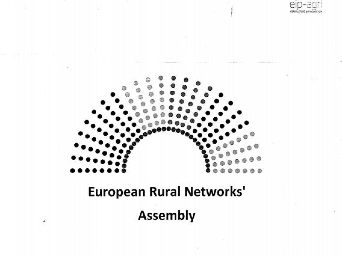 programme ERN Assembly