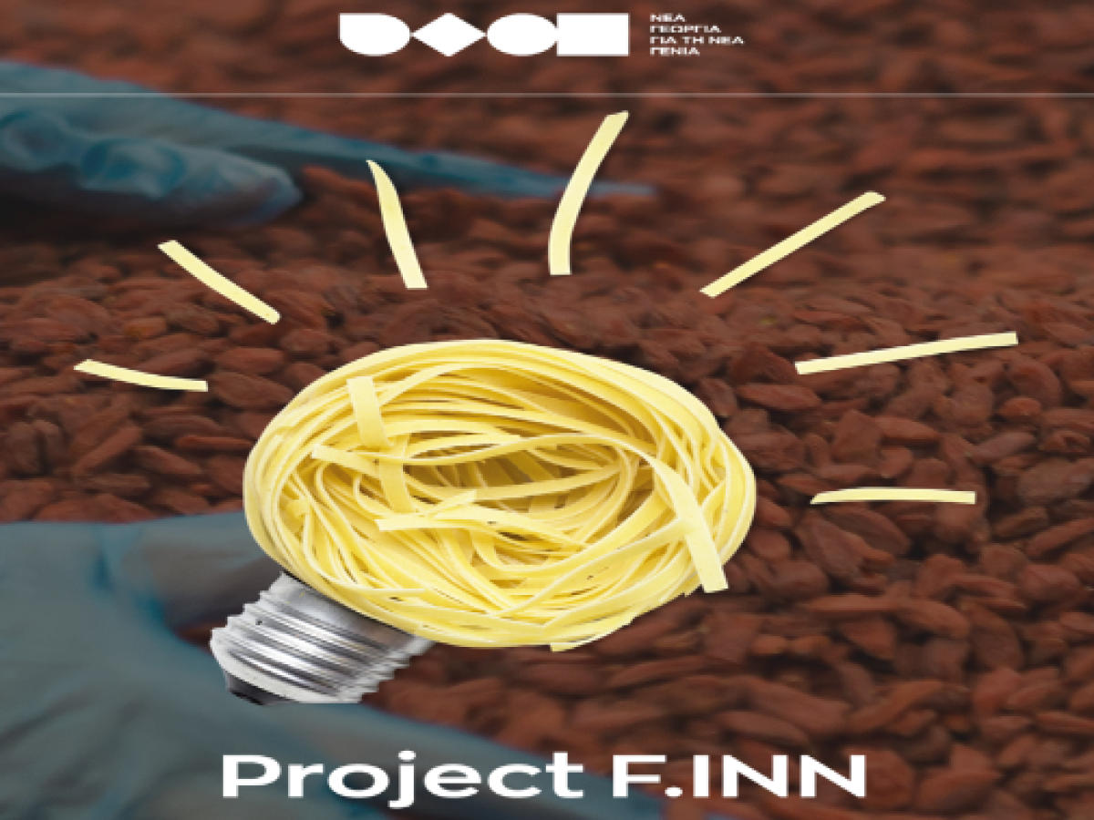 project finn site