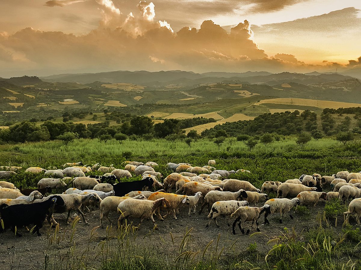 provata pexel free05302 635006