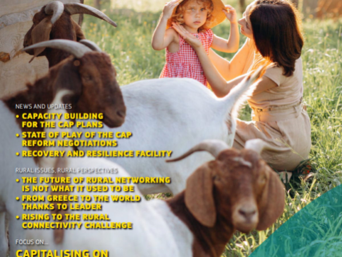 rural connections 595x397 1