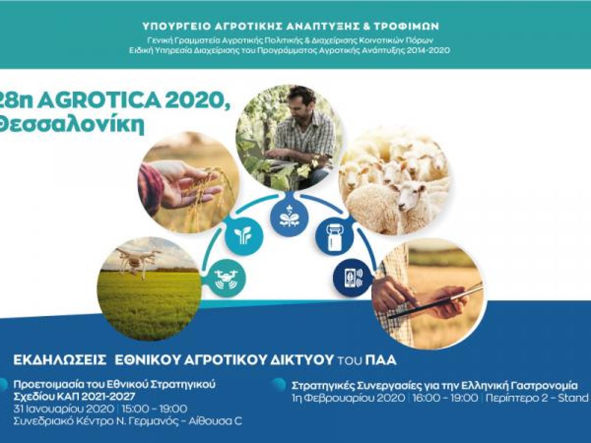 save the date 900x600