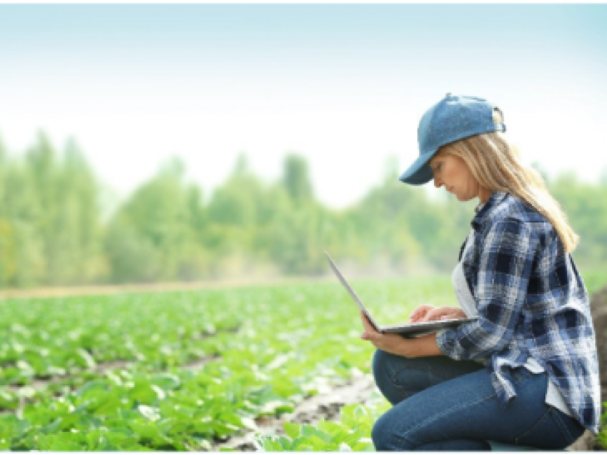 study eu rural woman