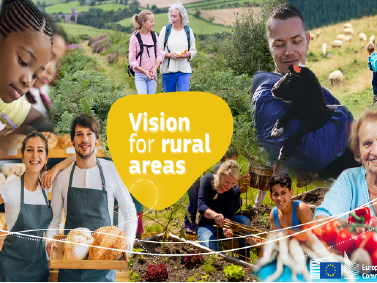 vision rural areas