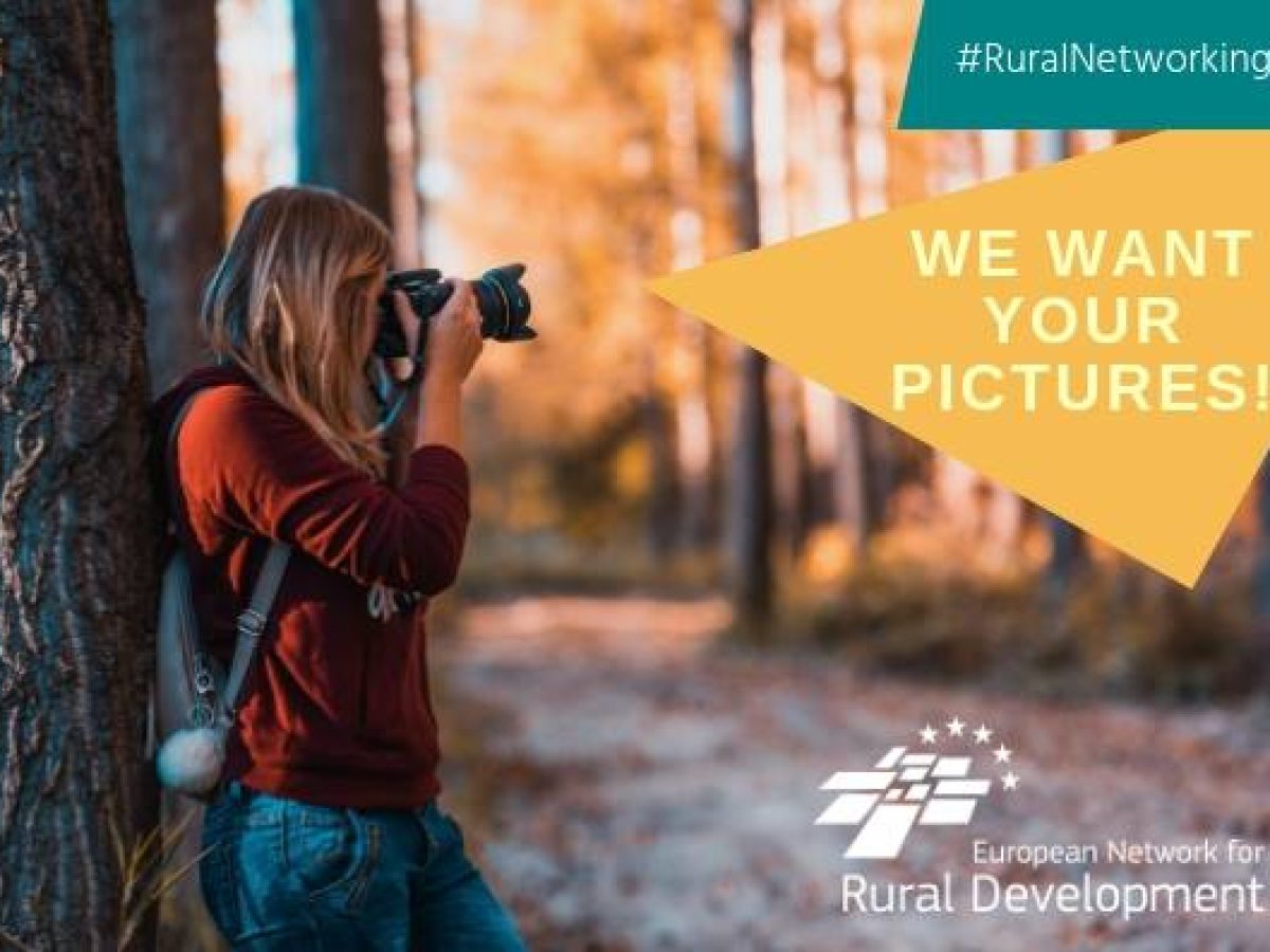 διαγωνισμός φωτογραφίας